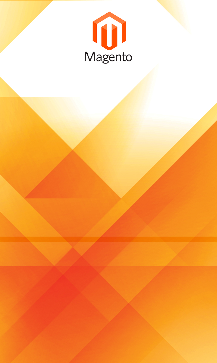 consulenza e-commerce magento